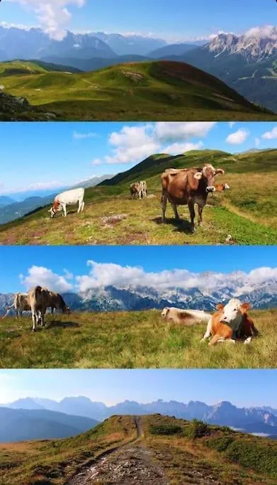 Tabia Di Francesca - Fienile Tra Le Montagne Silenziose Apartment Candide Italy
