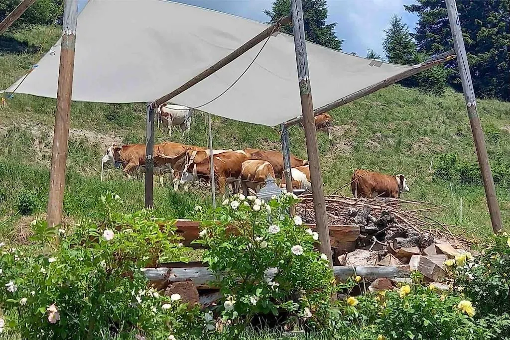 Tabia Di Francesca - Fienile Tra Le Montagne Silenziose Apartment Candide