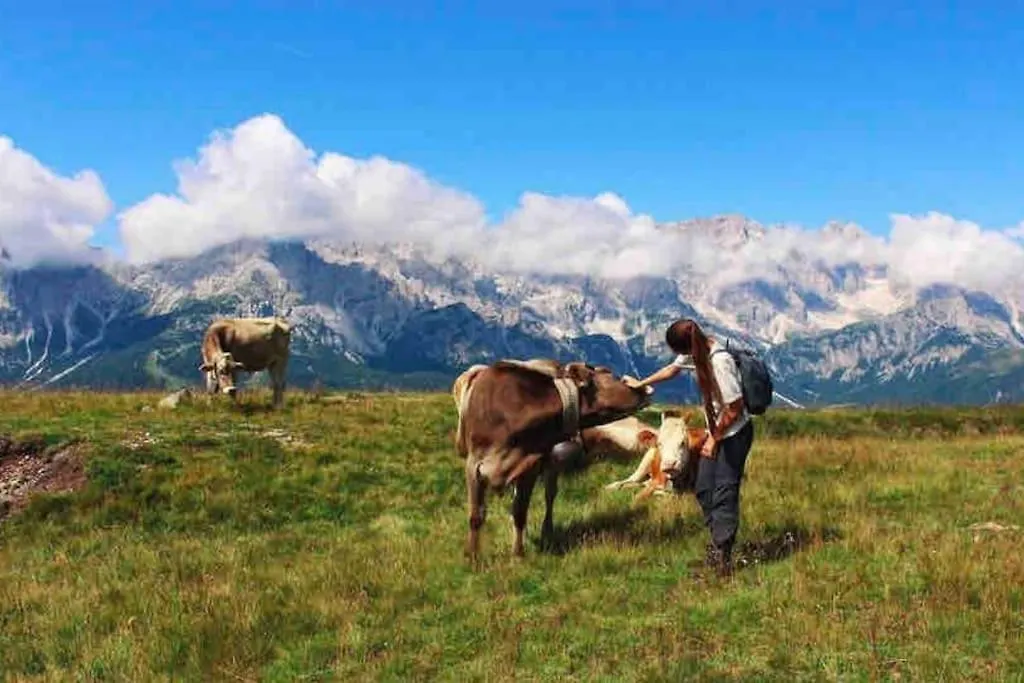 Tabia Di Francesca - Fienile Tra Le Montagne Silenziose Apartment Candide